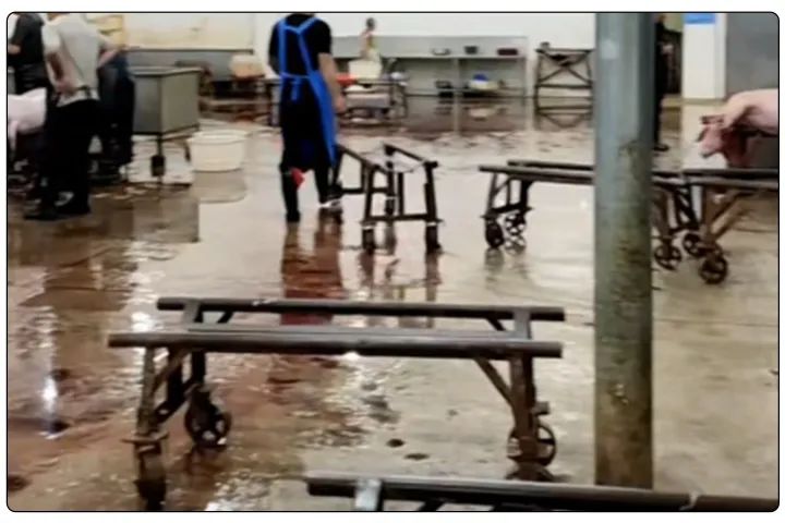 屠宰工廠惡臭影響周邊，使用除臭劑有什么注意要點？.jpg