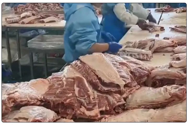 屠宰工廠惡臭影響周邊，使用除臭劑有什么注意要點？.jpg
